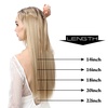 image:imageSARLA Invisible Wire Hair Extensions Straight Long Synthetic Hairpieces 22 Inch Adjustable Transparent Headband for Women Dirty BlondeJet Black